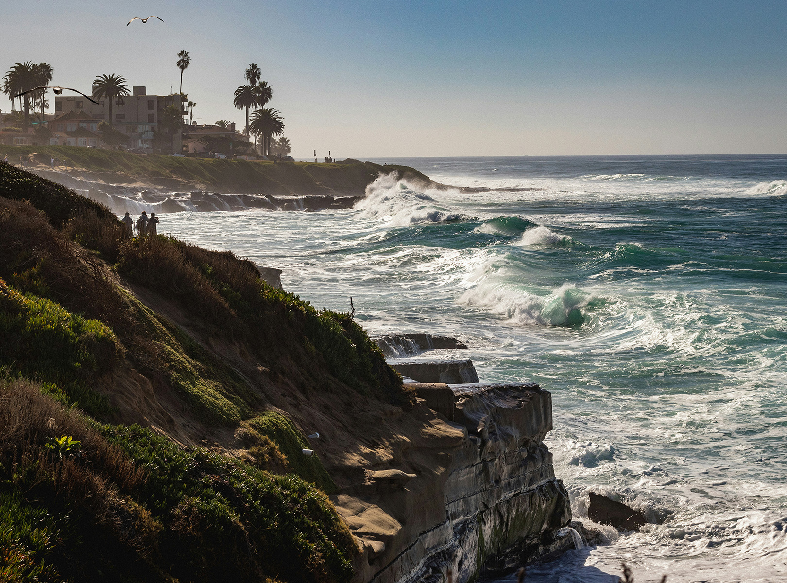 San Diego Leading Digital Agency